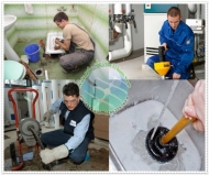 Những phương pháp xử lý rác thải hữu cơ hiệu quả nhất