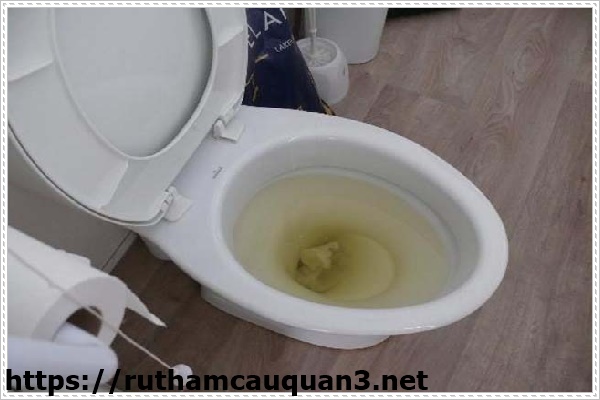 Bồn cầu bị bắn nước do bể chân không có vấn đề