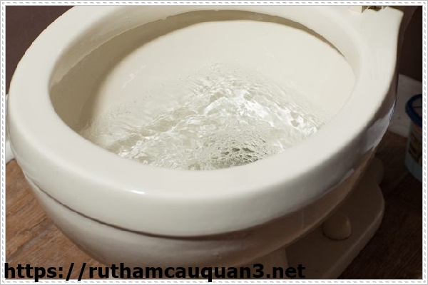 Mẹo xử lý bồn cầu bị bắn nước hiệu quả, nhanh chóng