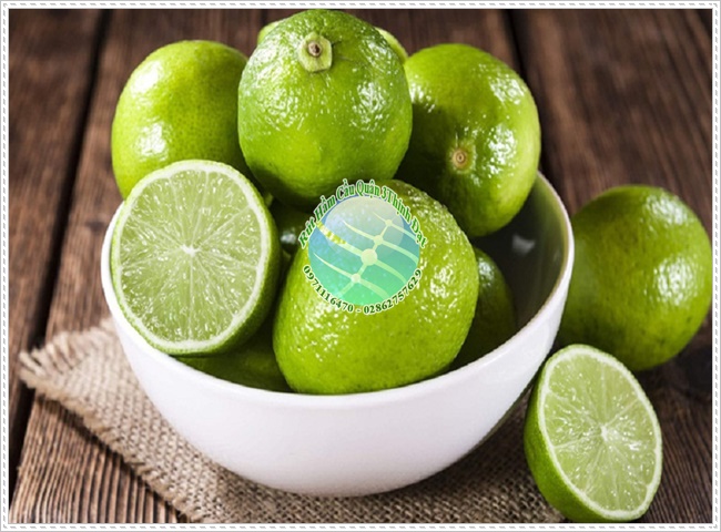 Bồn cầu bị bốc mùi hôi khi xả nước