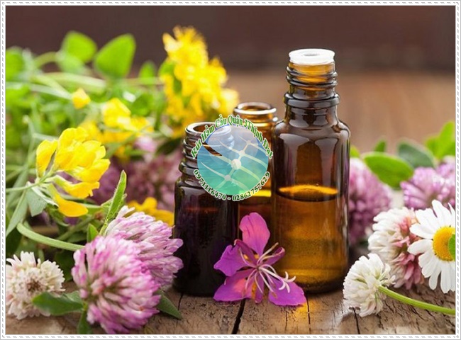 Bồn cầu bị bốc mùi hôi khi xả nước