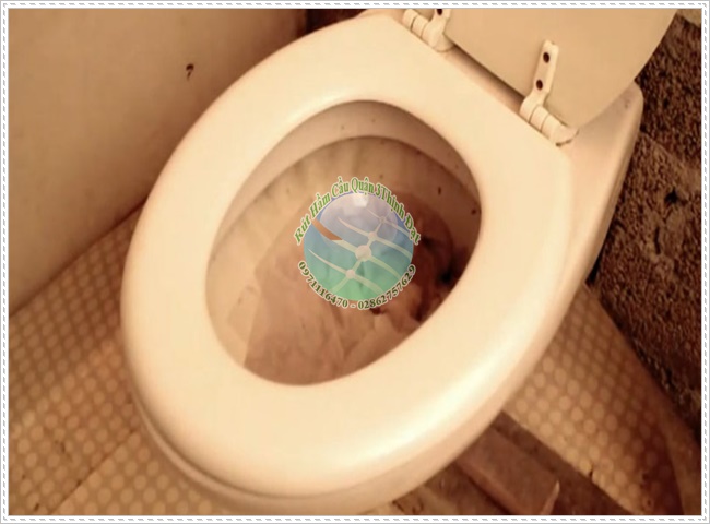 Nguyên nhân bồn cầu không thoát được nước