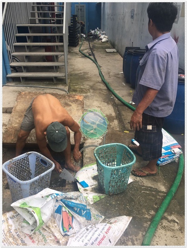 Dấu hiệu nhận biết hầm cầu đầy