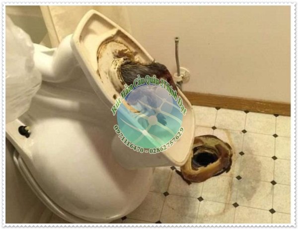 Miếng sáp trong bồn cầu bị hỏng