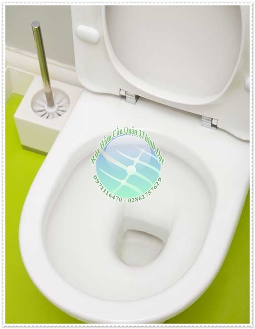 Nguyên nhân bồn cầu không thoát được nước