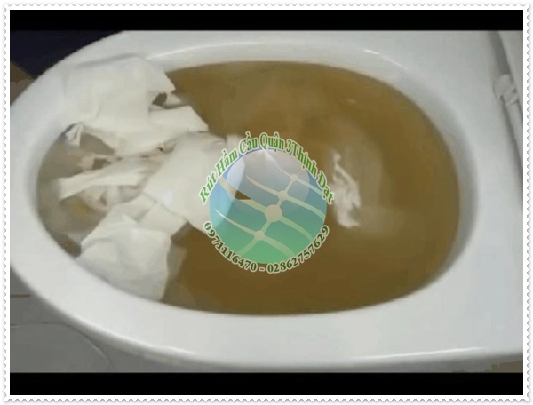 Nguyên nhân bồn cầu không thoát được nước