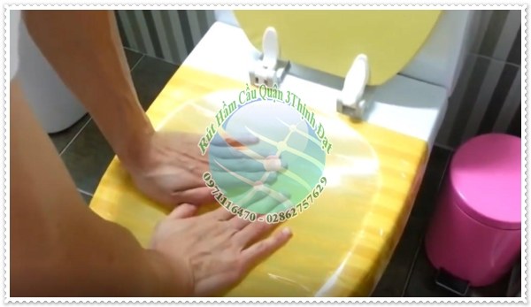 Nguyên nhân dẫn đến tiếng kêu sau khi xả nước bồn cầu.